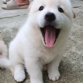 명재현