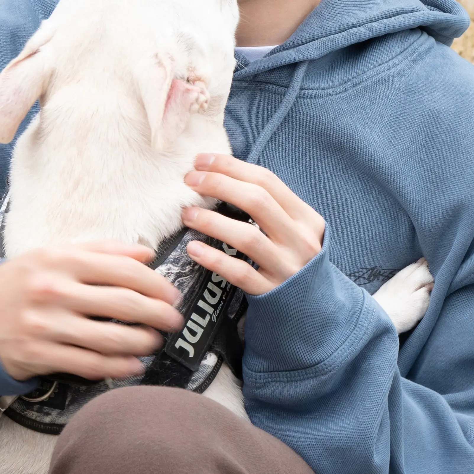 leejaehyunow24의 이재현