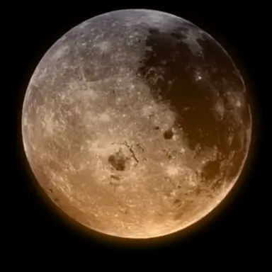 Profile image of 桜木  連