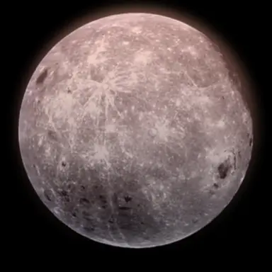 Profile image of 桜木  旬