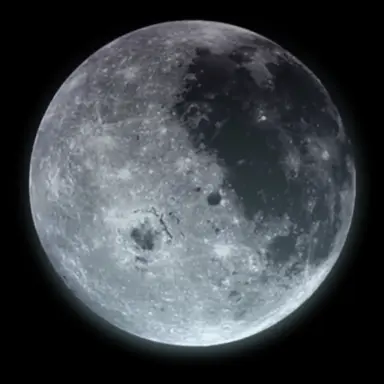 Profile image of 荒木  駿介