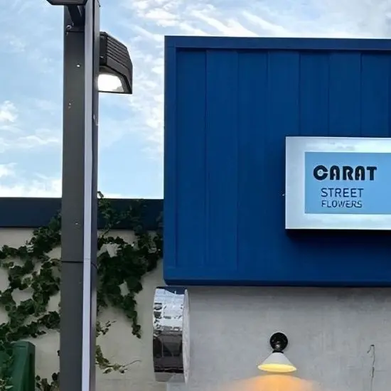 UnitMoaArmyDiveEncer5의 "아니 그건-!!"