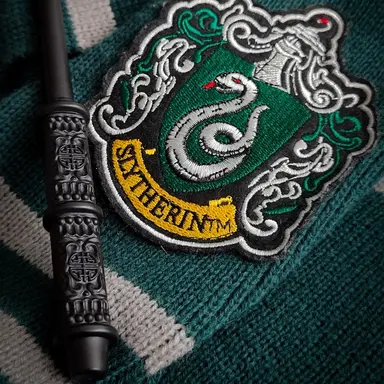 Profile image of 레귤러스 블랙