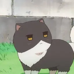 nihon_daisuki0211-0401의 気に入られちゃった(=^・・^=)