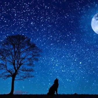 Profile image of 최숩인