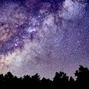 Profile image of 카이 카말 휴닝