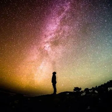 Profile image of 최엱쭌