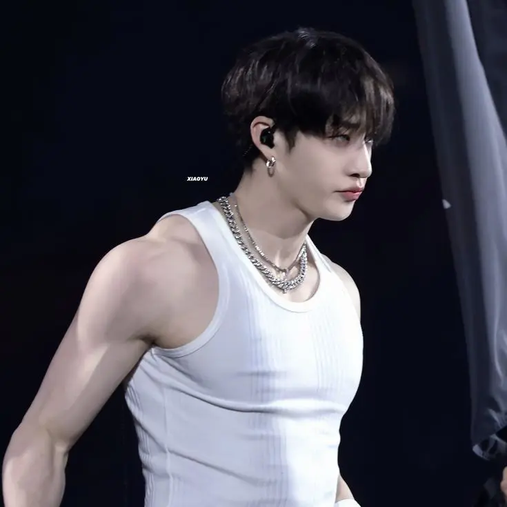 cat_luvvvvverrrr3의 Bang Chan