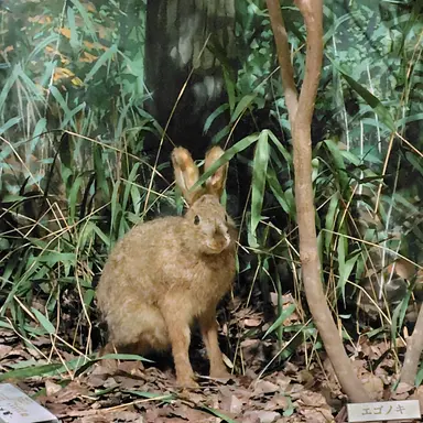 Profile image of 菅野