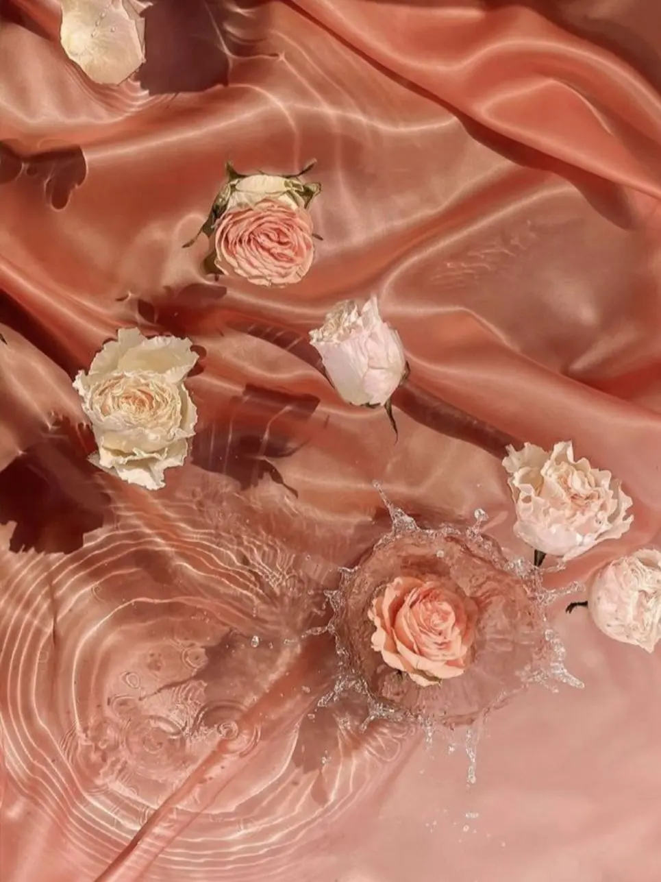 miougi_910의 寝る時くらいは俺がそばに居たい。