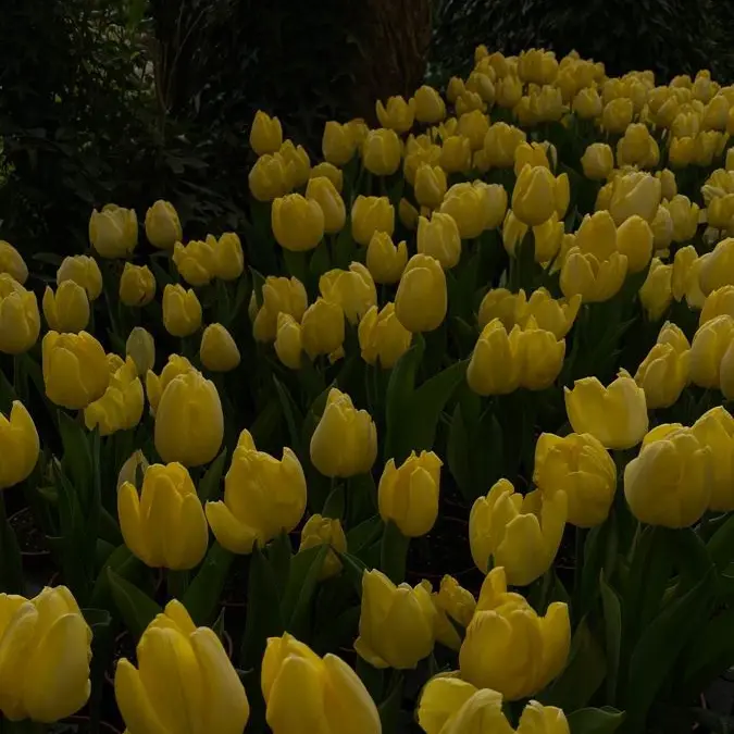 MeltyDiet6060의 꺼지라 하면