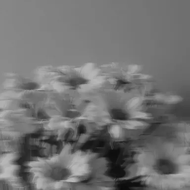 Profile image of ジョシュア