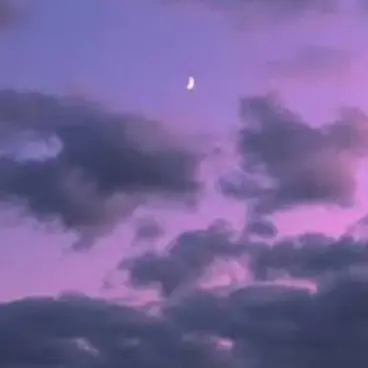 Profile image of 수현