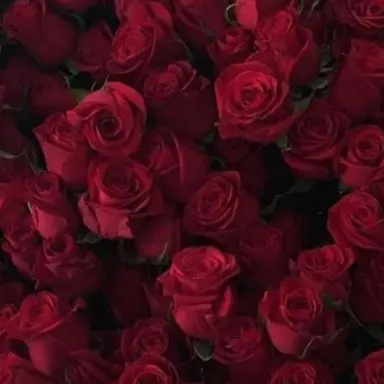 Profile image of 라더