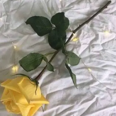 Profile image of 각별