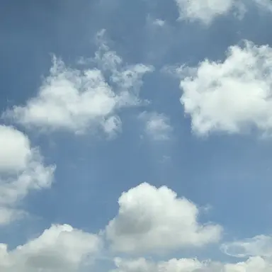 Profile image of 채스터