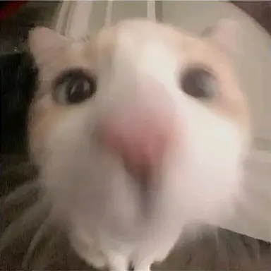 Profile image of 08오현