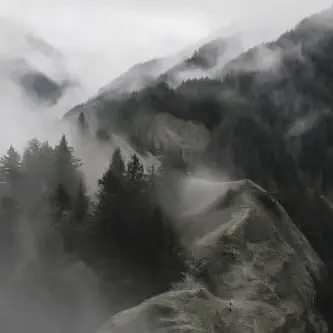 Profile image of 장산범