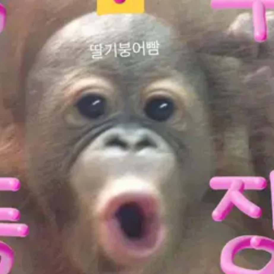 여우