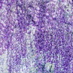 PotentYear7141의 どうか、どうか。