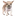해피