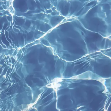 Profile image of アヤネ