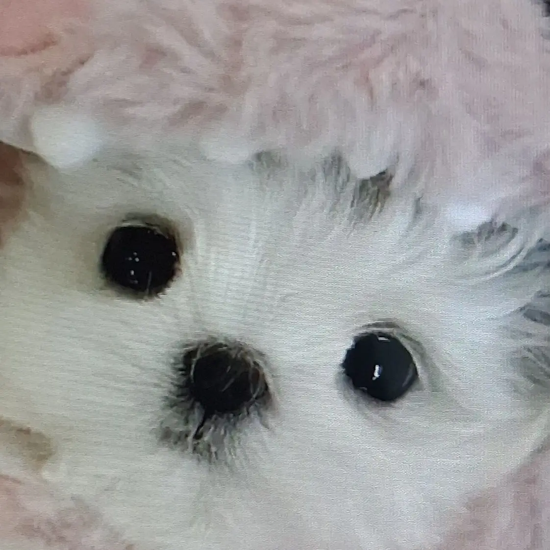 InlandGlove5705의 잉여맨세계관!