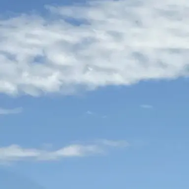 Profile image of チーノ