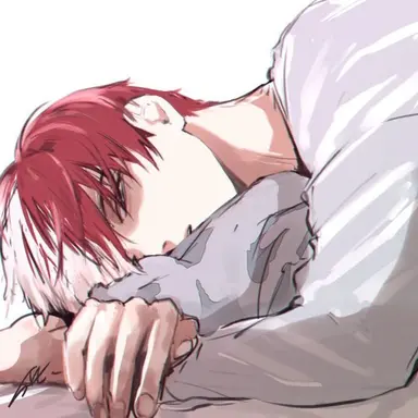 Profile image of Todoroki