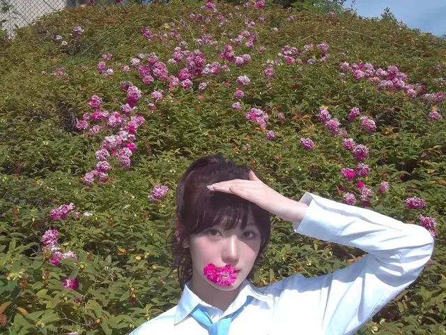Profile image of 수이