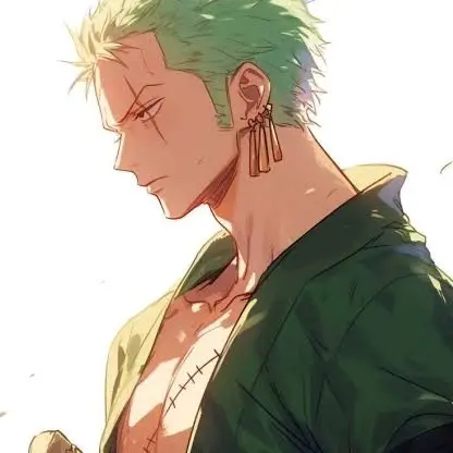 CostlyAunt7988의 ゾロ