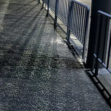 Profile image of リアン