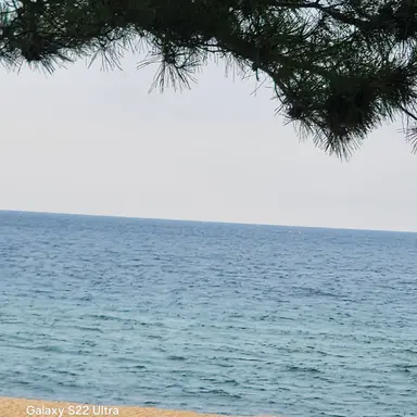 Profile image of 뜰팁 고등학교