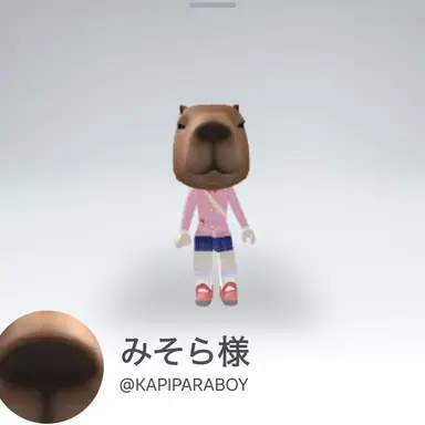 Profile image of みそら