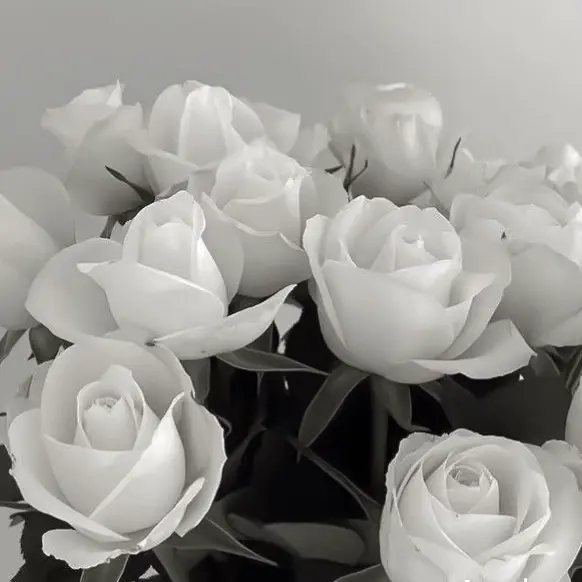 ThinDog4200의 下ネタ好きな中也さん