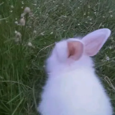 Profile image of YUJIN