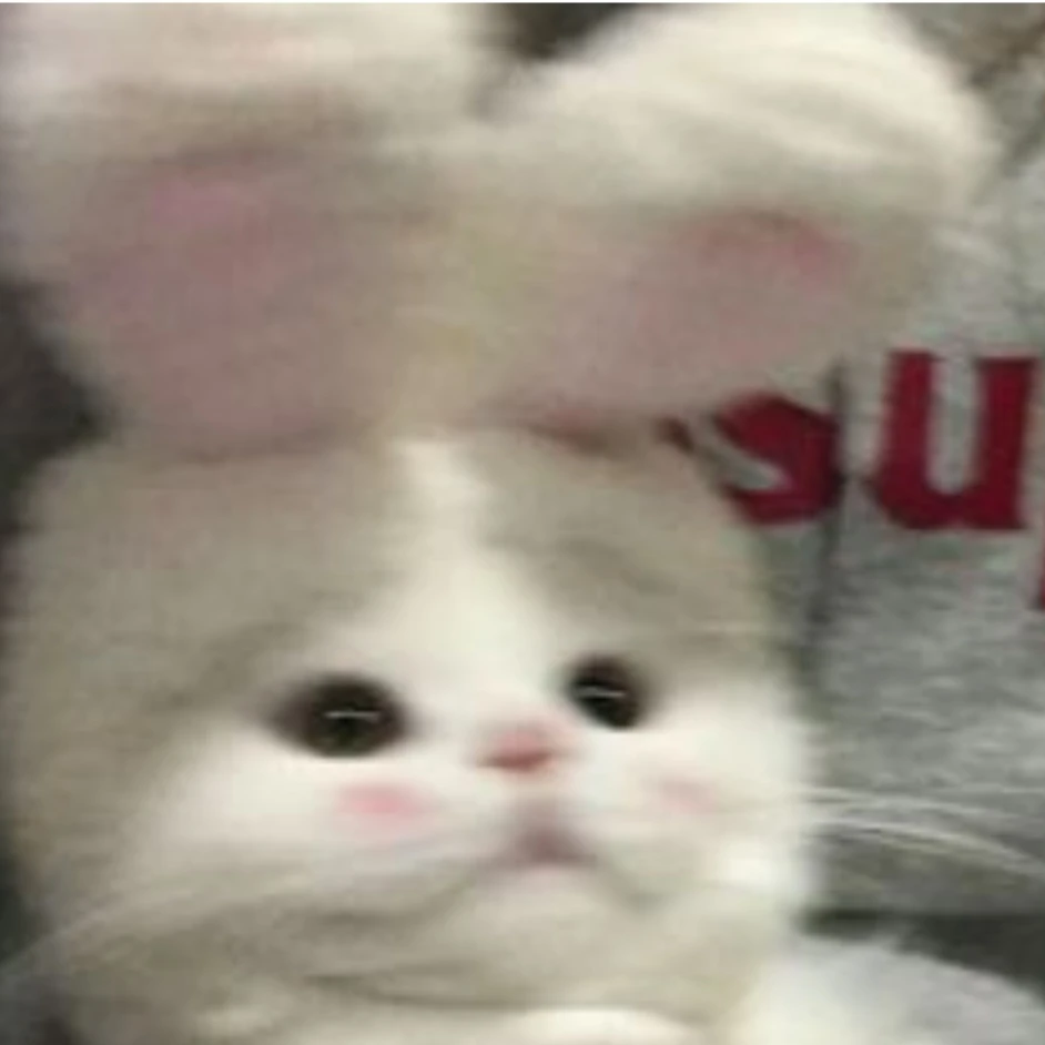 윤서