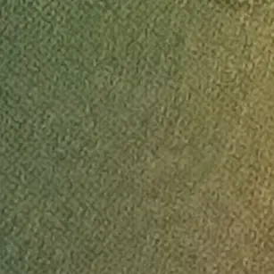 Profile image of ペッシ