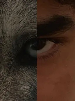 Profile image of Rocky