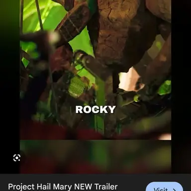 Profile image of Rocky