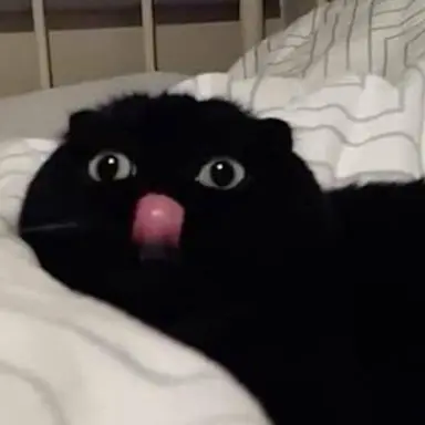 Profile image of 예