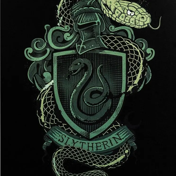 MagicSlide1690의 💚🐍슬리데린🐍💚