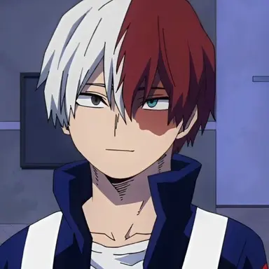Profile image of Shoto Todoroki