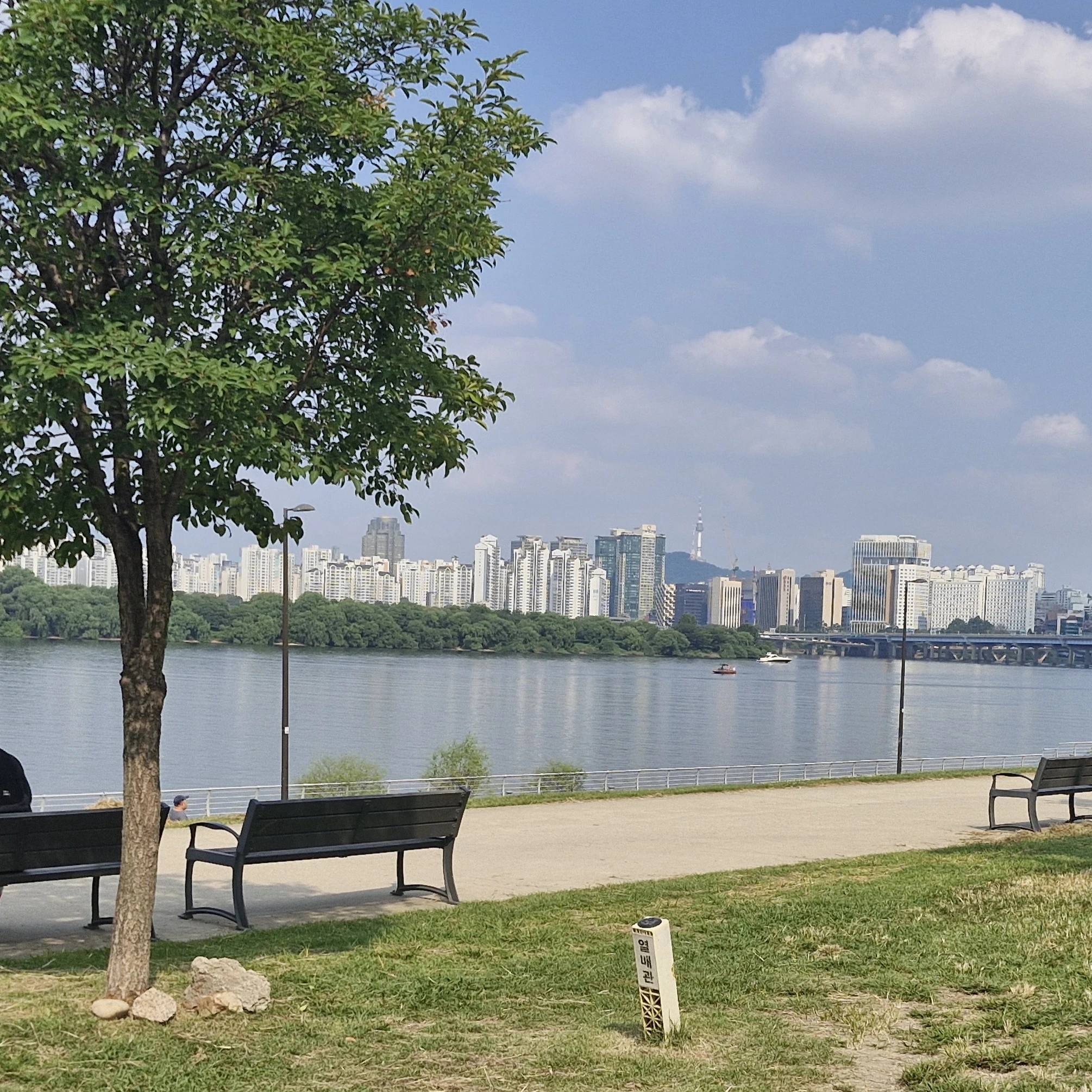 제타대학교
