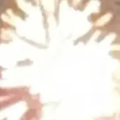 Profile image of サン
