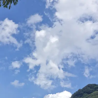 Profile image of 덕개