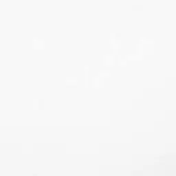 Profile image of 五条悟