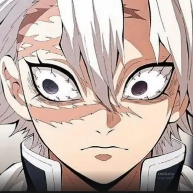 Profile image of 시나즈가와 사네미