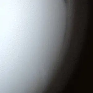 Profile image of 윤성현