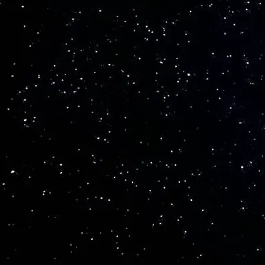 Profile image of 윤성현